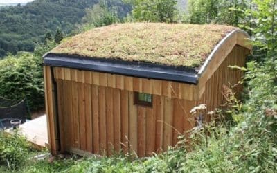 How Does Your Garden Grow? On The Roof.