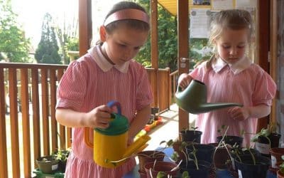 Gardening Projects for Kids