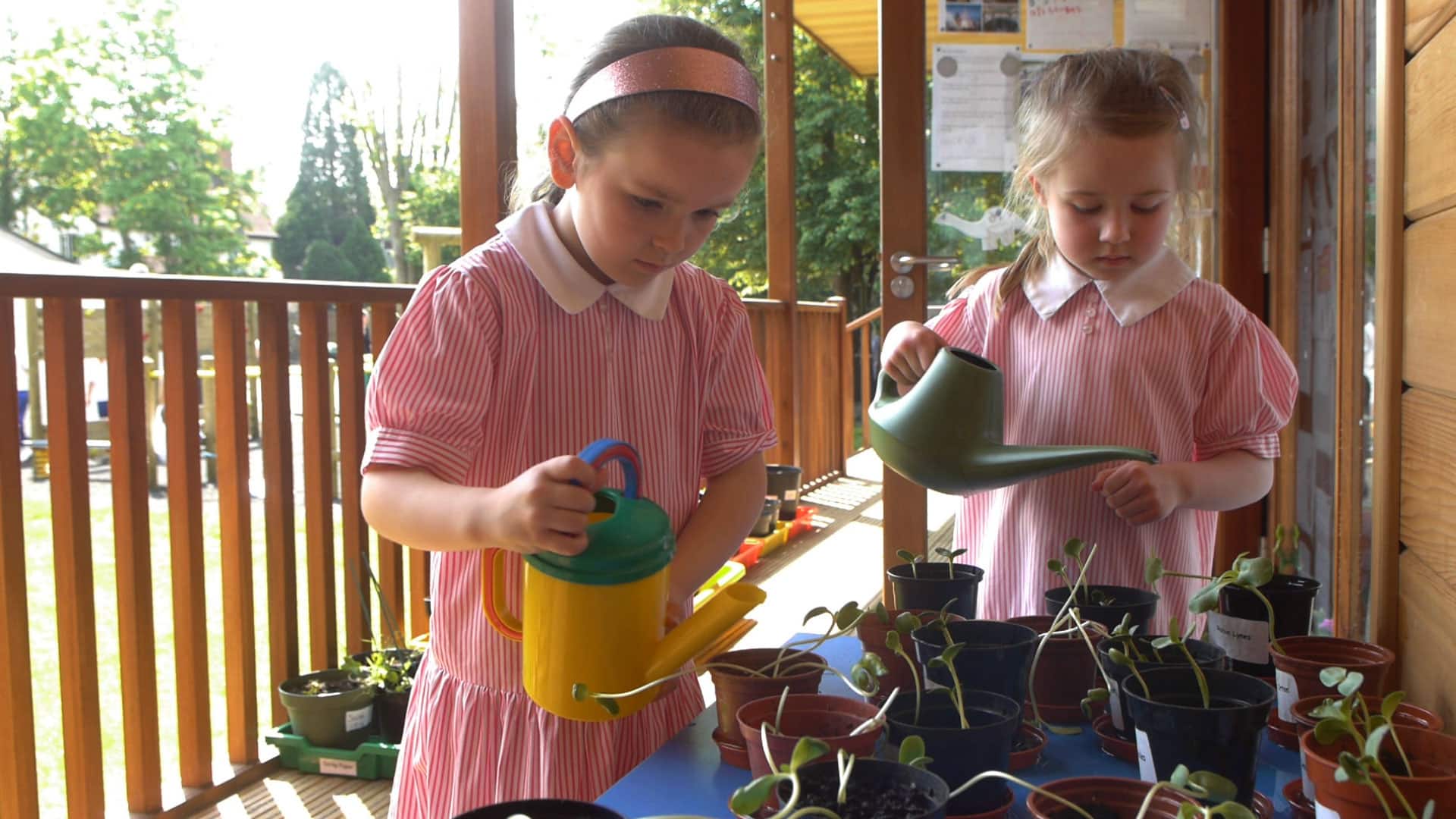 Children water plants on decking of Modular eco Classroom at Danesfield School by TGEscapes with cedar cladding