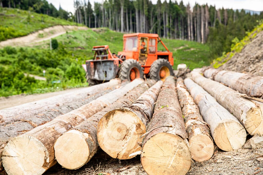 Forest Industry. Lumberjack With Modern Harvester