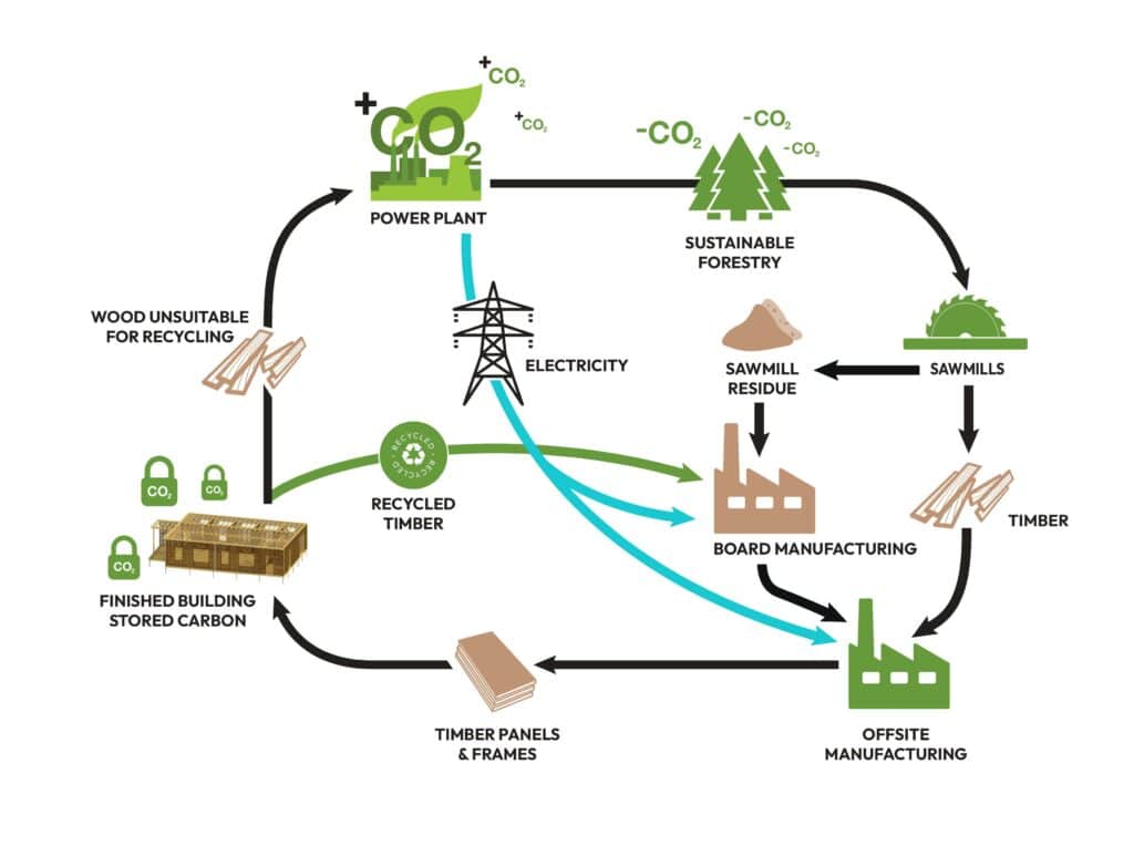 The circular economy of timber in construction infographic