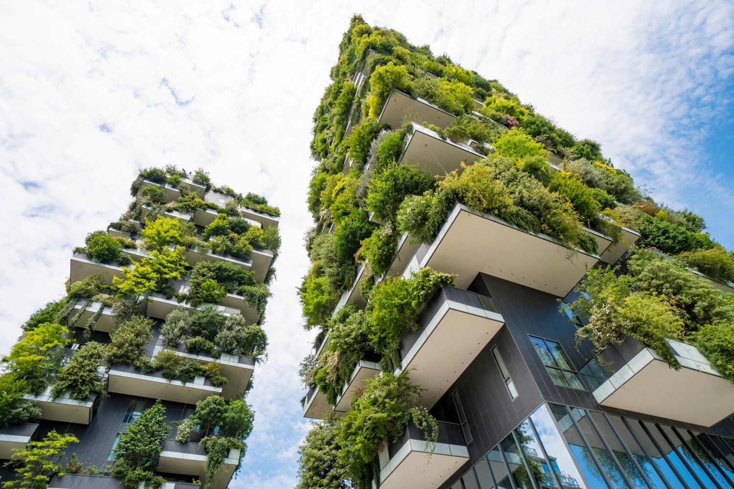 Skyscraper named Vertical Forest in Milan